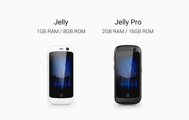 jelly3.jpg