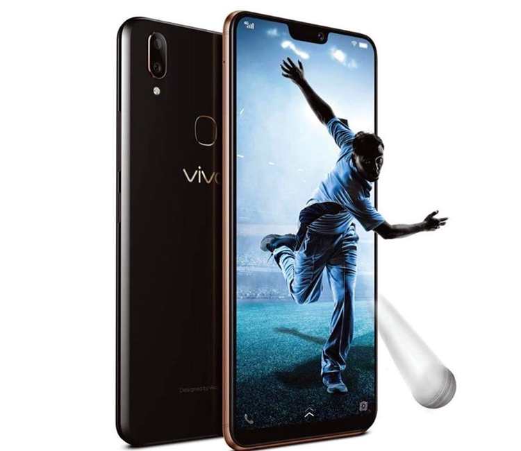 vivo3.jpg